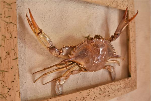 House K1, for 7 persons