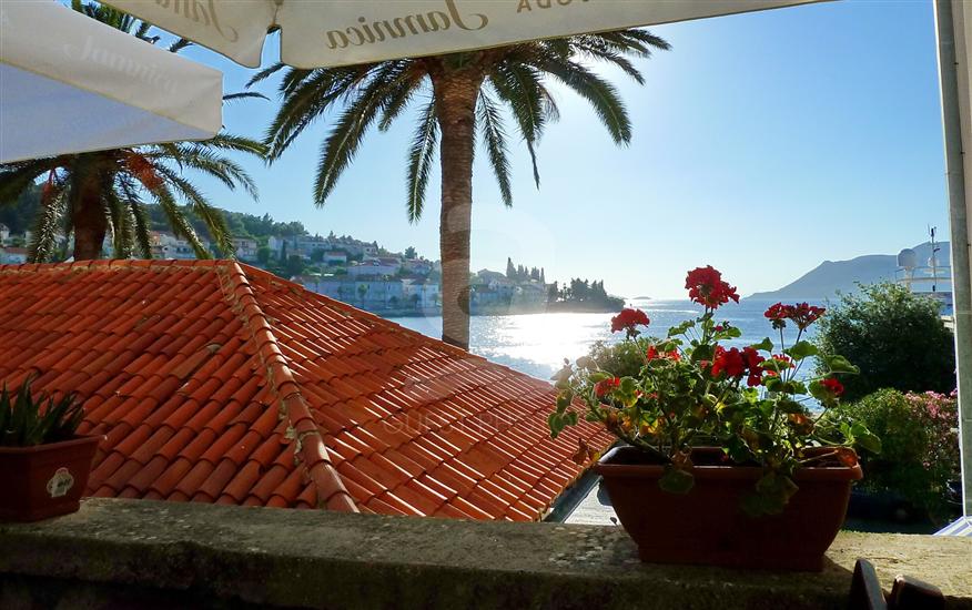 Korcula - island Korcula