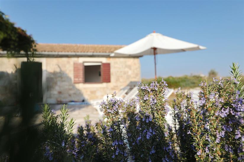 House Island just for You- Ravna Sika