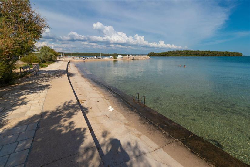 Mobile home Sea Turtle