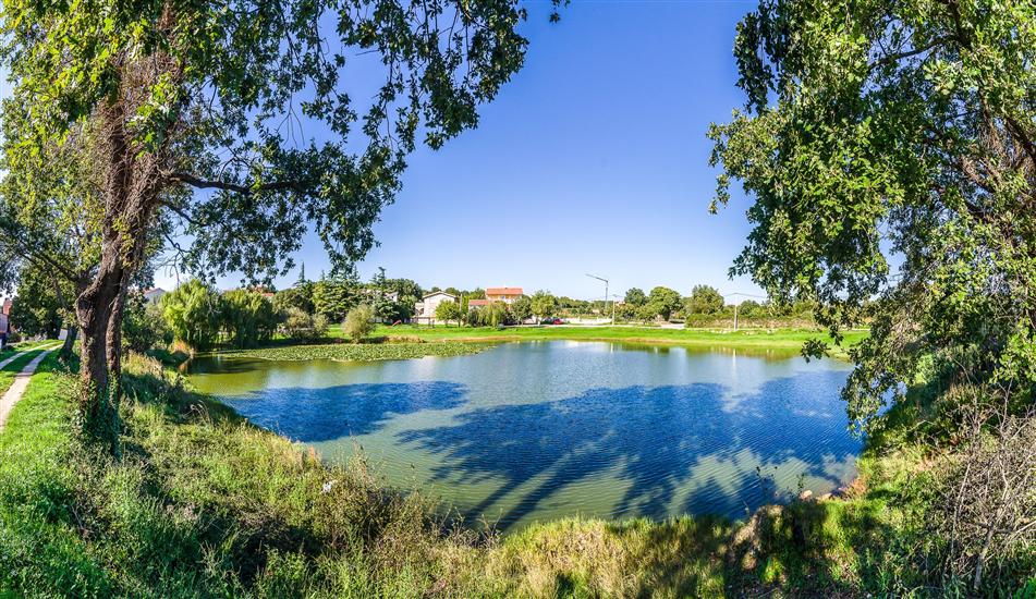 Apartmaji Marin sa bazenom