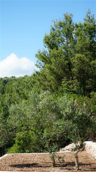 Apartment A1, for 3 persons