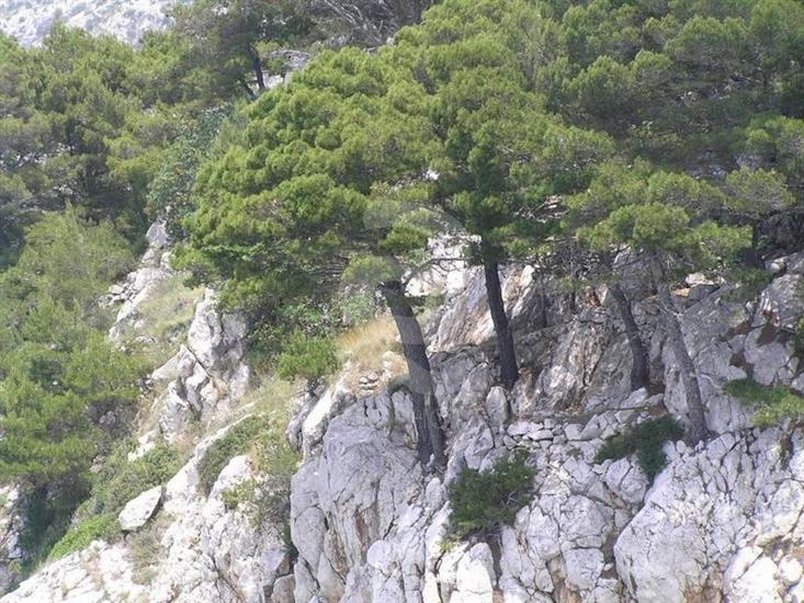 Korcula - island Korcula