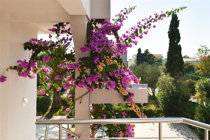 Apartment A3, for 6 persons