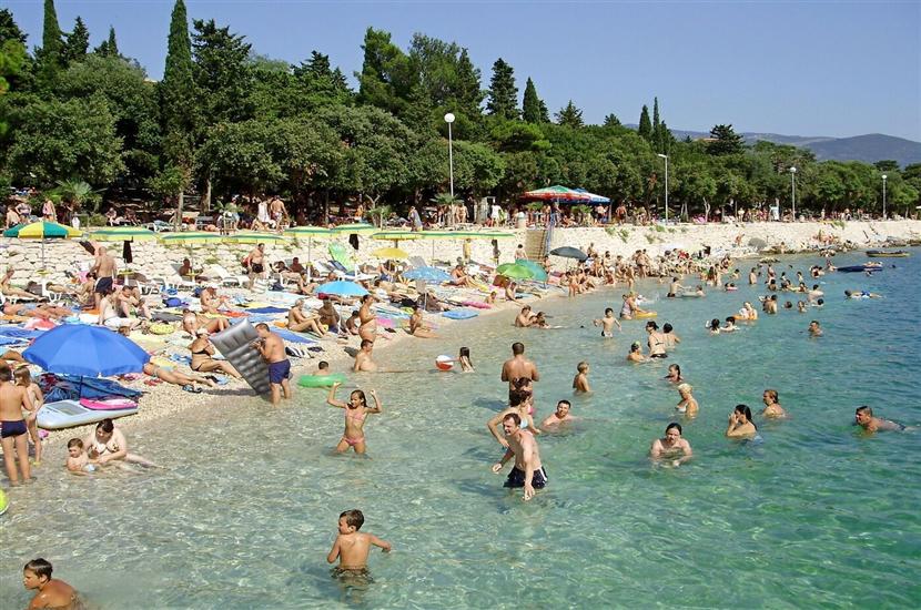 Apartments and Room Drazen