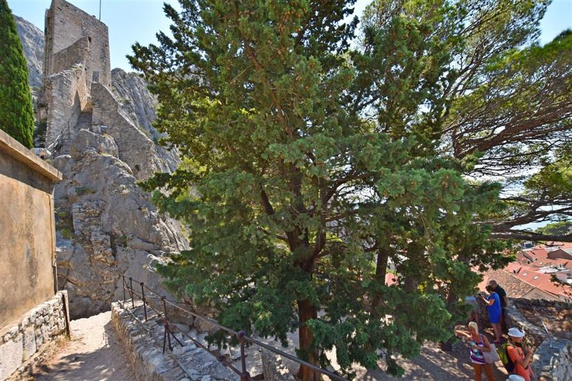 Апартамент Mate