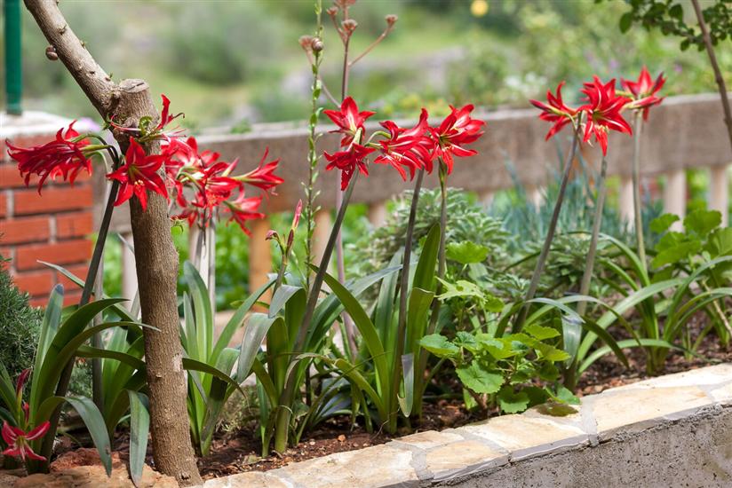 Apartment A3, for 4 persons