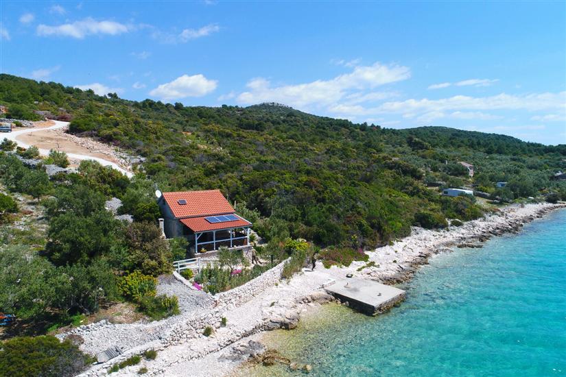 House Starfish