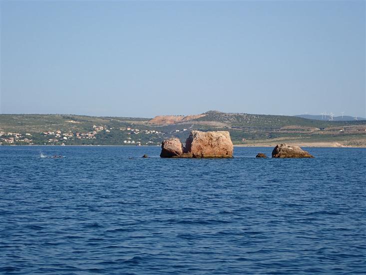 Апартамент BELLEVUE