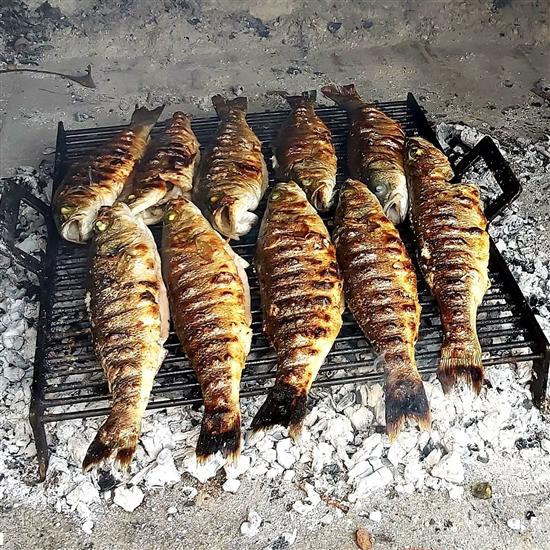 Apartments Vila Punta