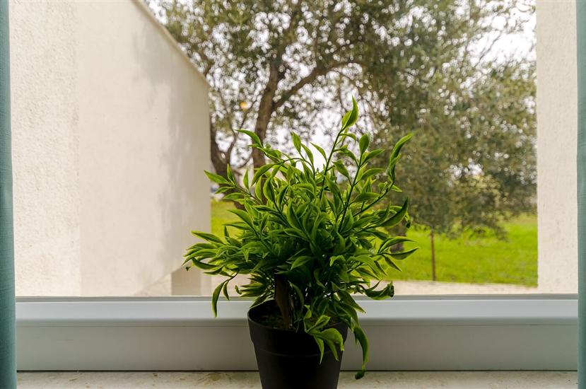 Apartment A2, for 3 persons