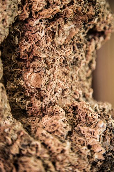 House K1, for 10 persons