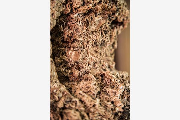 House K1, for 10 persons