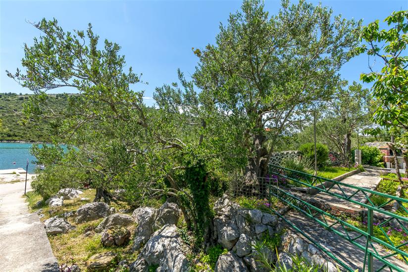 Appartamento Garden by the sea