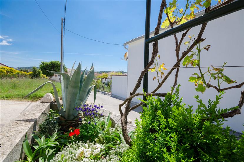 Apartments Slobodanka