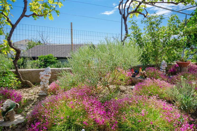 Apartment BigTerrace