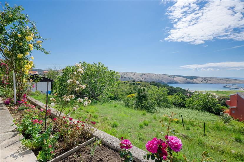 Apartment BigTerrace