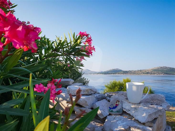 House Island just for You- Ravna Sika