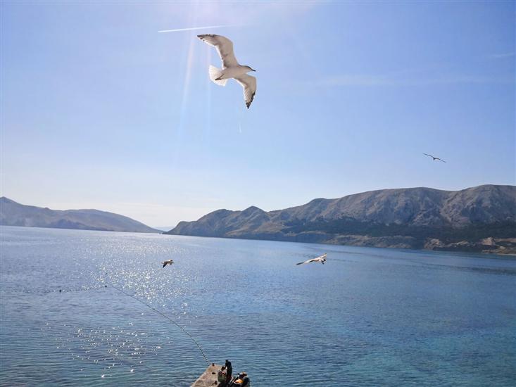 Apartment A1, for 2 persons