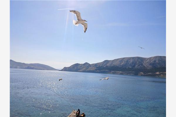 Apartment A1, for 2 persons