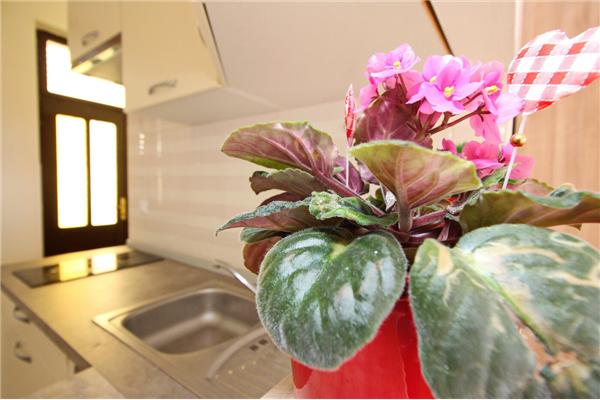 Apartment A1, for 2 persons