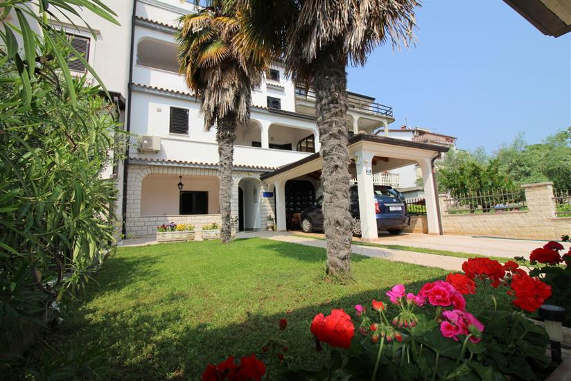 Apartments Apartmani Vista