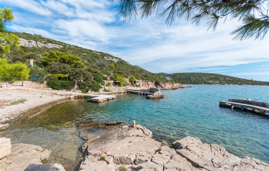 House Island Harbour