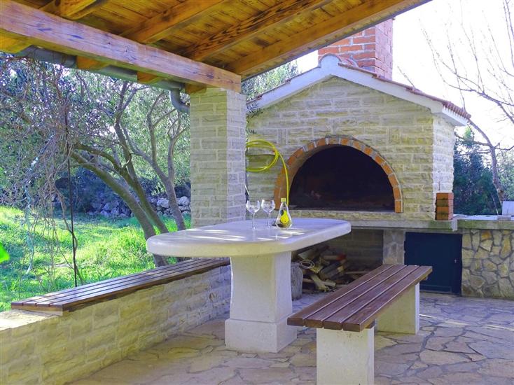 House Pygmy Cormorant