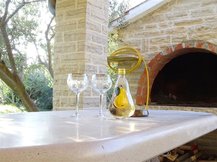 House Pygmy Cormorant