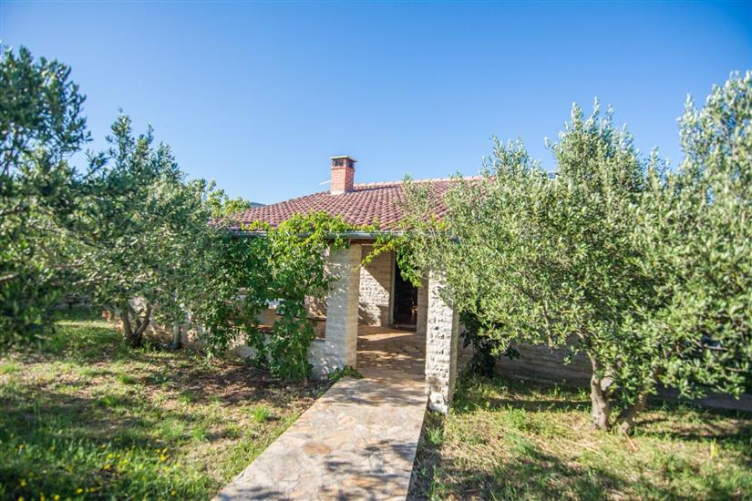 Dom Pool House Lake by the sea