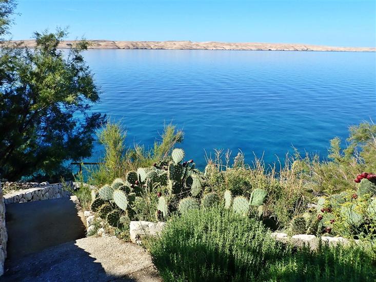 Apartmaj Jela-on the seafront