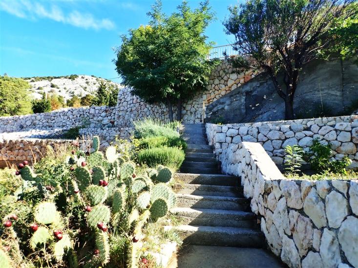 Apartmaj Jela-on the seafront