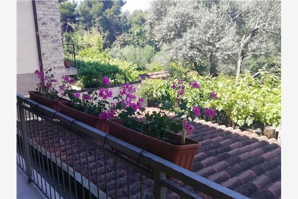 Apartment A2, for 4 persons