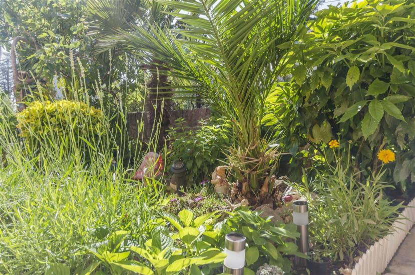 Apartments Bella Vista