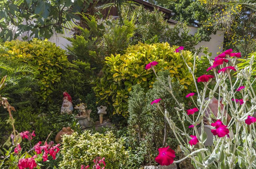 Apartments Bella Vista