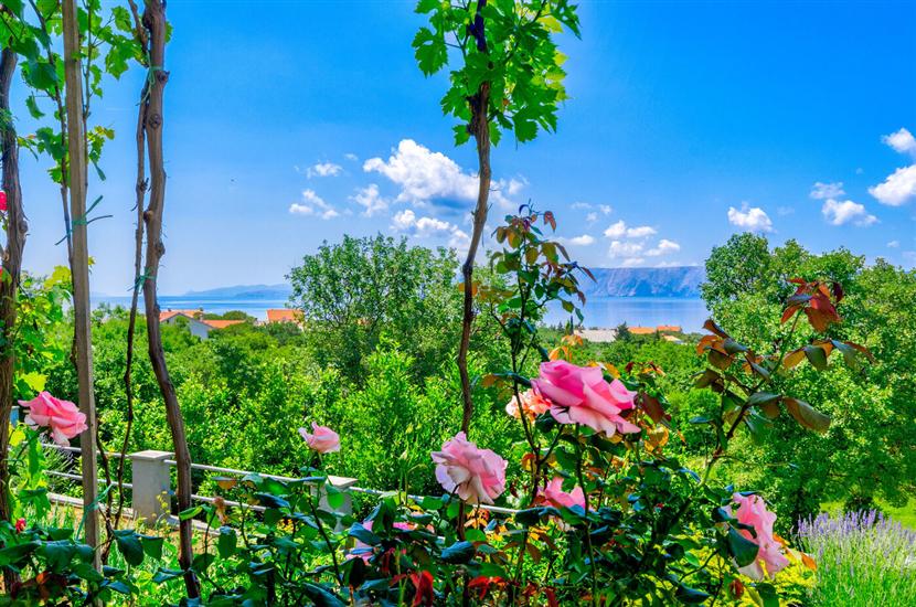 Ferienwohnungen Katica