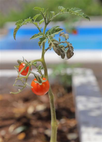 House K1, for 5 persons