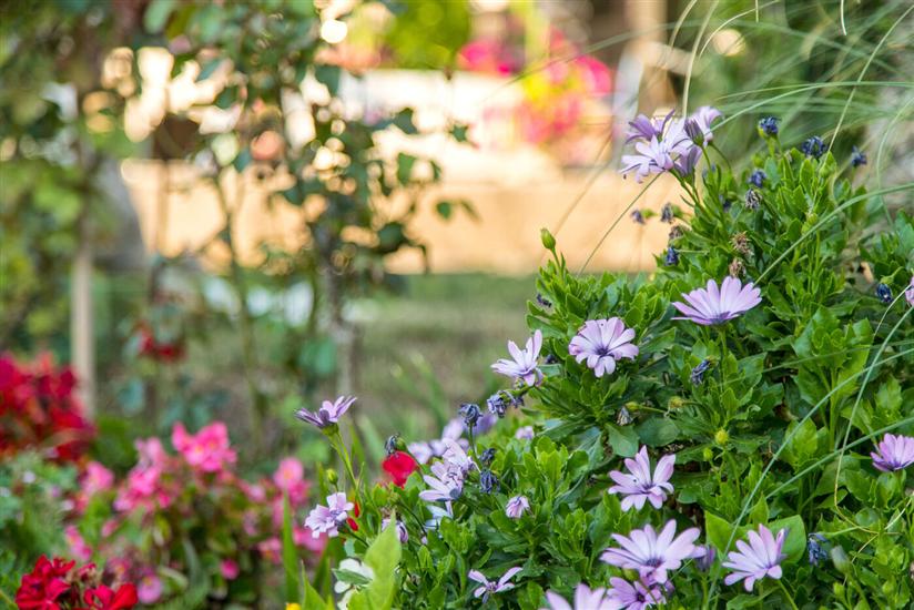 Apartments Villa Daniela