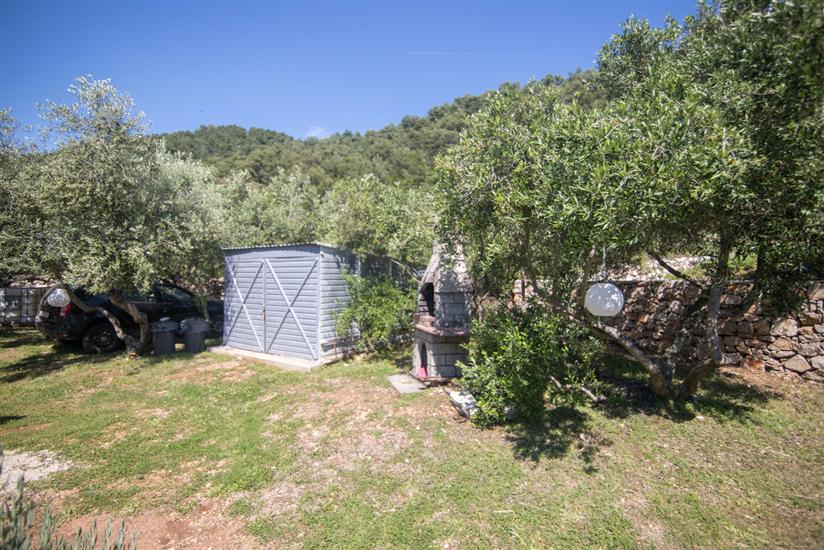 Apartments Robinzon Petar