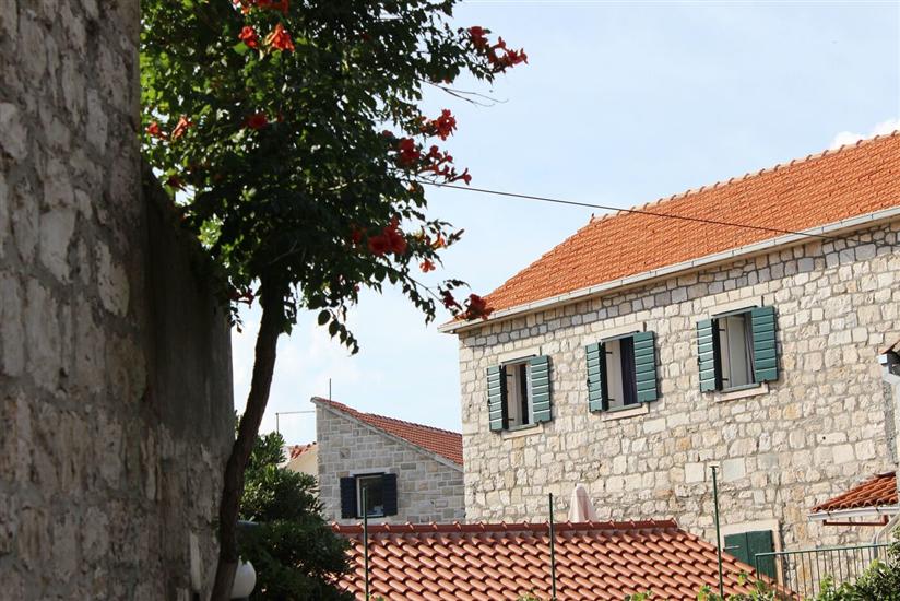 Apartments Ruža vjetrova