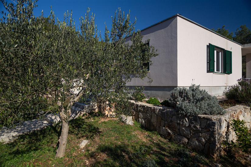 House Olive Eden