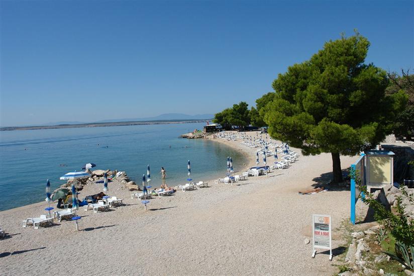 Apartmaj Color Green