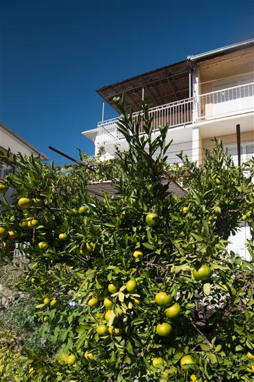 Lägenheter Zuljevic