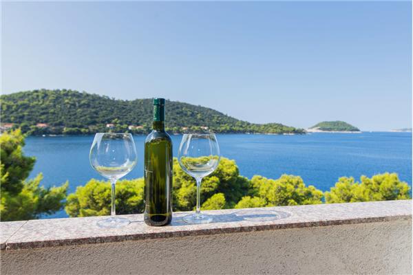 Apartment A1, for 5 persons