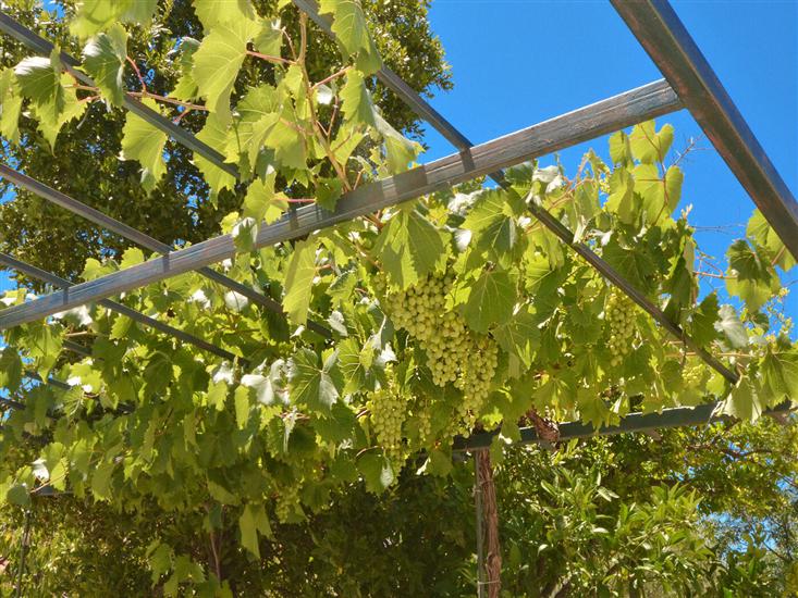 Apartments Kobašlić