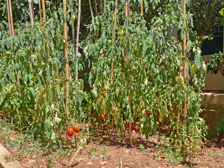 Apartments Kobašlić