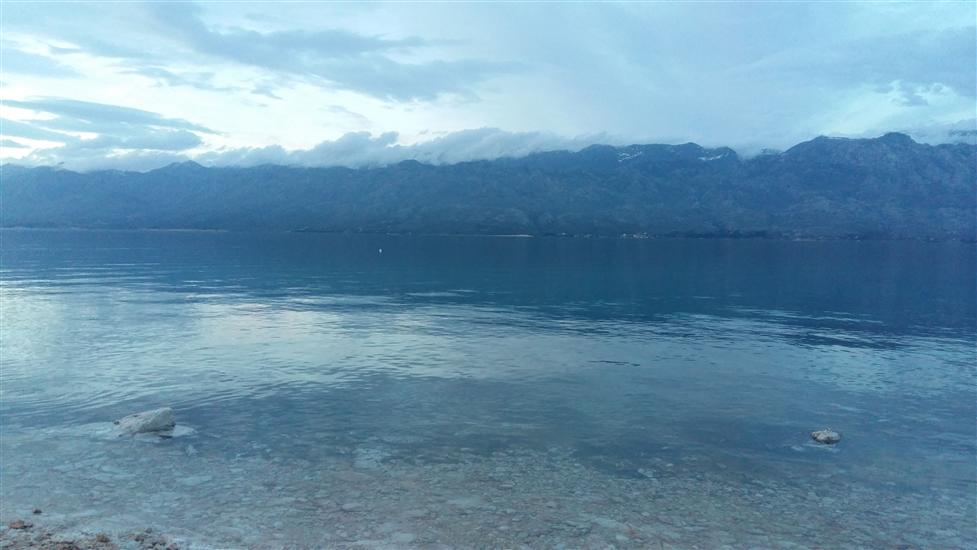 Апартаменты Max