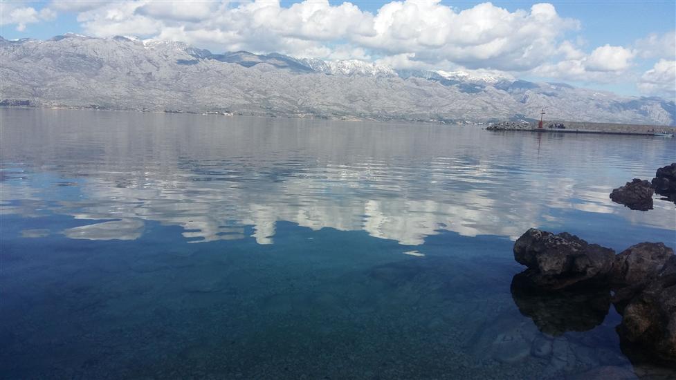 Апартаменты Max