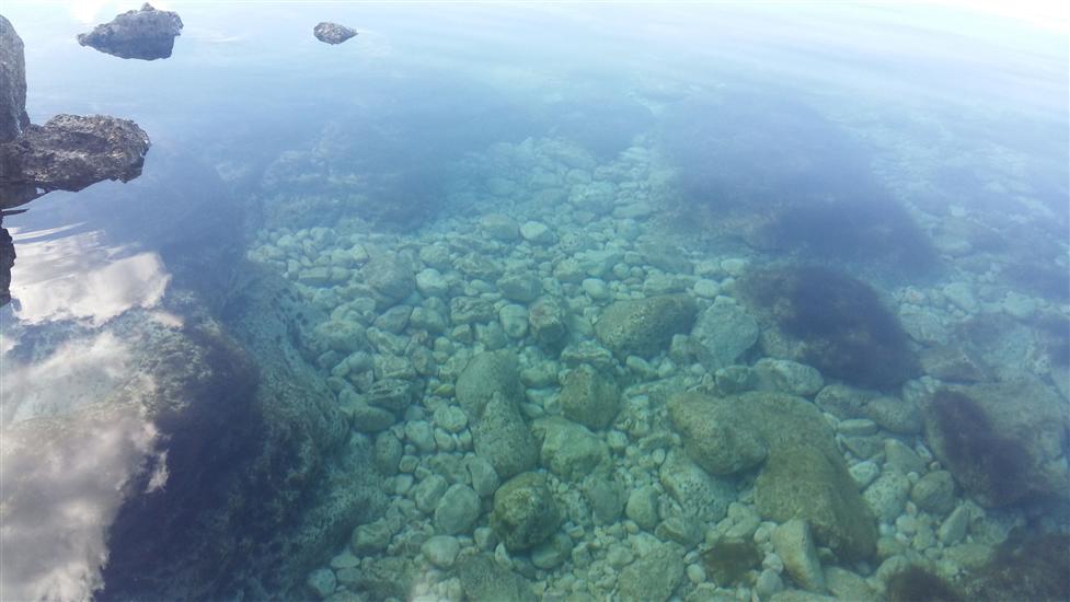 Апартаменты Max