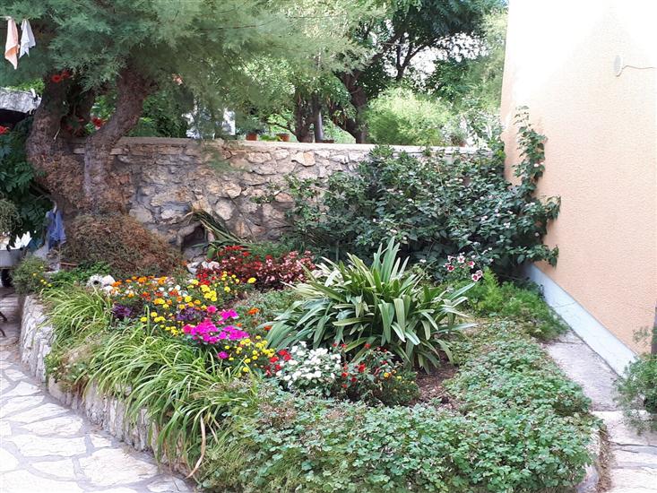 Апартаменты Max